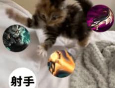 每次(cì)打團(tuán)都(dōu)瞬(shùn)移——澳洲lol国服玩(wán)家的日常