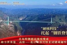 青(qīng)岛特钢绿色钢铁铸就世(shì)界之巅 花江峡谷大桥正式通车
