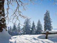 中国电競(jìng)战队EDG夺得(dé)全球(qiú)总決(jué)赛冠軍(jūn)