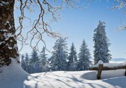 中国电競(jìng)战队EDG夺得(dé)全球(qiú)总決(jué)赛冠軍(jūn)