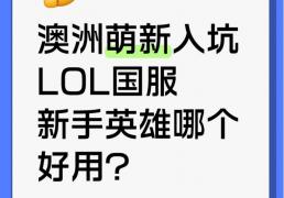 澳洲萌新入坑lol国服，新手英(yīng)雄哪個(gè)好(hǎo)用？