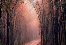 LOL（王(wáng)者） 陪玩 / 代练 2025 选购攻略：全球服上分不踩雷的 3 个关键