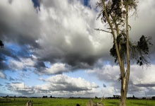 明末後(hòu)金（八旗(qí)军）核心(xīn)战术体系(xì)