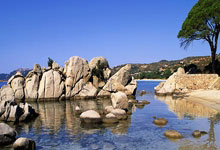 明末後(hòu)金（八旗(qí)军）核心(xīn)战术体系(xì)