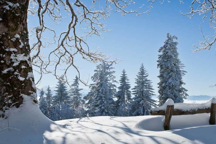 中国电競(jìng)战队EDG夺得(dé)全球(qiú)总決(jué)赛冠軍(jūn)